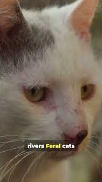 Invaders Wiping Out Natives: SHOCKING!!!