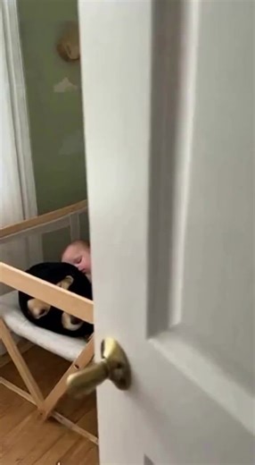 Walked in and found the BABY cuddled up with the ski-masked dog 😭❤️ #BabyAndDog #TheMaskedMutts