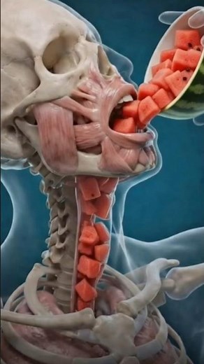 What Really Happens When You Eat Watermelon on an Empty Stomach? #humanbody