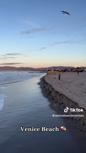Venice Beach ⛱Los Angeles 🦋California 🌴🏄🏻‍♂️🇺🇸 Jan 18, 2023 #venicebeach #losangeles #california #sunrise #sunset #beach #sunrise_and_sunsets #sunrisephotography #iphone13pro #instagram #instagood #instamood #photography #photooftheday #instadaily #sunriselover #dogtown #skate #surf #ocean #santamonica #marinadelrey #hollywood #daily #venicevibes #beachlife #beachvibes #la #venicepier