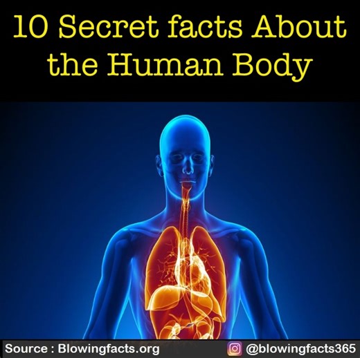 17K views · 719 reactions | 10 Secret facts About the Human Body | Facts that will blow your mind | Facebook