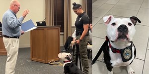 Shelter dog sworn in as ‘paw-trol officer’ with police department
