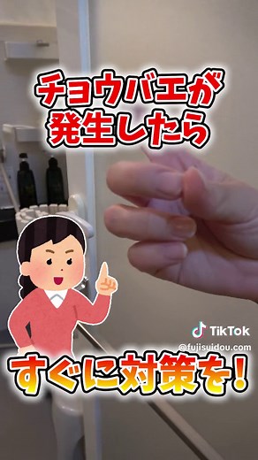 お風呂のチョウバエ撃退法：清掃と対策のコツ