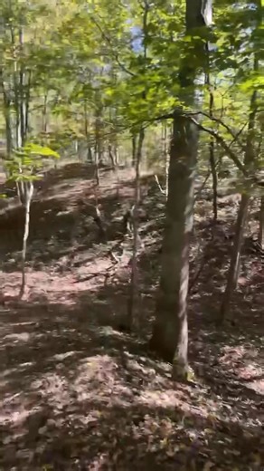 15K views · 117 reactions | The boys gettin after it and prepping for our rut hunts… did someone have to ask them to do that? Nope! They do it because they genuinely care about your sets! It’s not always deer after deer because at the end of the day it’s fair chase, but just keep in mind, that when you set somewhere, there’s a reason… because our guides care that they’re name rests on that set so they take pride in it | Southern Ohio Outfitters | Facebook