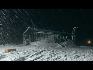 Relaxing Cabin Ambience in Snowstorm | Howling Wind Sounds for Sleep, Insomnia, Stress & Healing