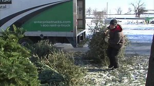 23K views · 62 reactions | FREE TREE RECYCLING! Here’s where you can...