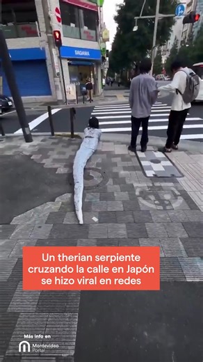 😮 De todo tipo y color... La comunidad therian continúa expandiéndose, esta vez apareció un therian serpiente cruzando la calle en Japón y rápidamente se viralizó en redes. ¿ Qué opinás? ✍🏼 | Montevideo Portal