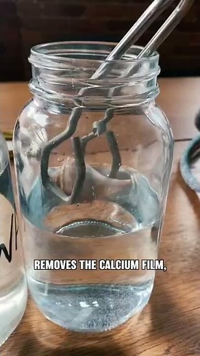 How to Clean Seashells with Muriatic Acid!