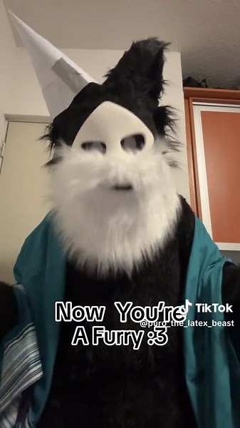 Puro the Wizard: A Magical Transformation into a Furry