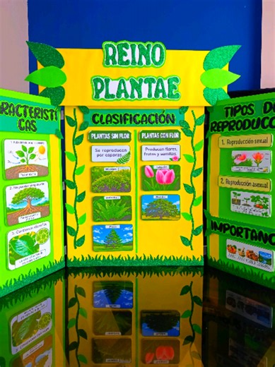 REINO PLANTAE 🌿 #reino #plantae #vegetal #escolar #triptico