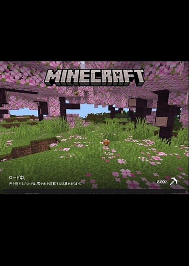 最強のチート #minecraft #マイクラ #統合版 #チート