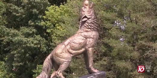 20 on 10: Laingsburg football looks for another trip to the playoffs in 2024