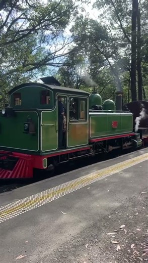 Puffing billy. steam train