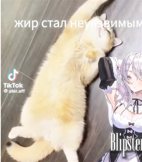 Filler edit 💔 | Tech jacket edit (Song name: MONTAGEM ANTONIUS IRITIS) #invincible #invincibleedit #techjacket #edit #markgrayson