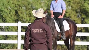 137K views · 553 reactions | Try Warwick's Horse Training Video Subscription Library Free For A Week. Want a calm, relaxed trail ride without your horse playing up or spooking? Need to master flying lead changes? How about creating a horse that is just comfortable wherever he is without worry or anxiety? Does your horse go too fast? Too slow? Not load on the trailer? Warwick will show you how to do all of this and more. | Warwick Schiller's Attuned Horsemanship | Facebook