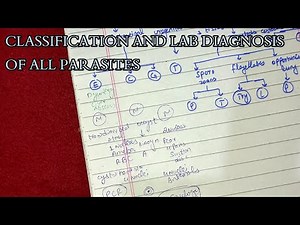 Classification and lab diagnosis of all parasites || parasitology || microbiology