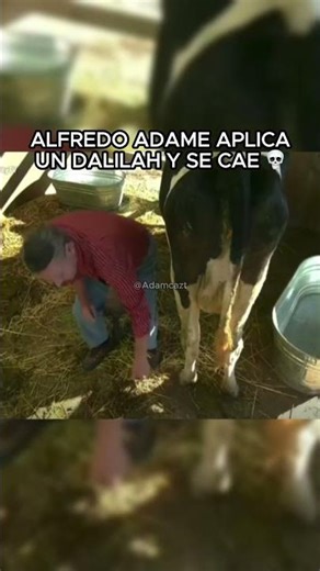 Adame Aplicó un Dalilah Polanco 💀 #LagranjaVIP #LagranjaVIPmx #lacasadelosfamososmx