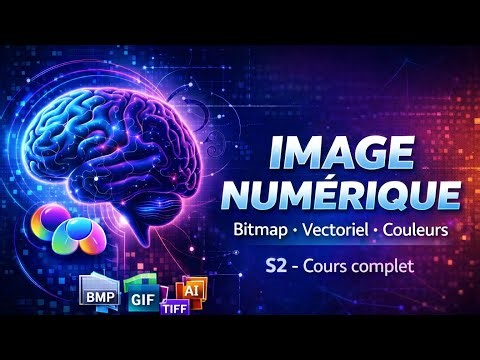 📸L’IMAGE NUMÉRIQUE – Fondementaux | Bitmap, Vectoriel, RVB, CMJN (IDA-CD-MIC)