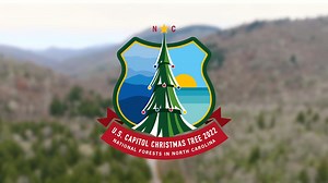 1.8K views · 115 reactions | "It's not what's under the Christmas...