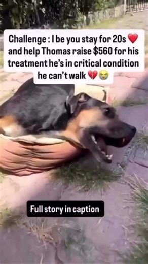 Thomas has no legs, he can't move we, we help his legs get fixed through a surgery, please help