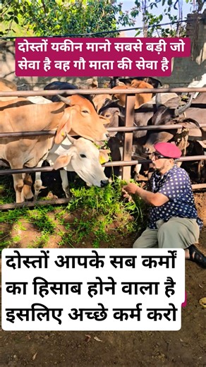 #shortvideo #cow #motivation #moments #love #animals #help #feedshorts #imotional #jaipur #india