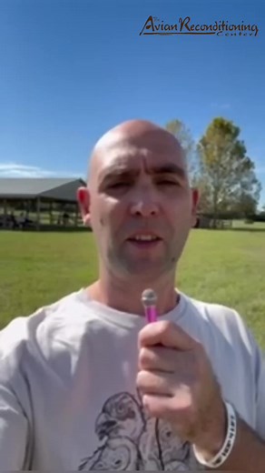 Our new series 🎤Talon Talks🎤 kicks off with an interview with our aplomado falcon, Ford. #raptors #raptorsofinstagram #falcon #Falcons #aplomadofalcon #birdlovers #birds #birdsofinstragram #birds #of #prey #birdsofprey #orlando #orlandoflorida #apopka #apopkaflorida #wildlife | The Avian Reconditioning Center for Birds of Prey