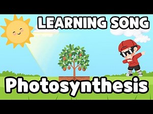 Plant Life Song | Photosynthesis Explained with Music!