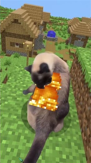 cat play Minecraft! #minecraft #catplaying #lava #catinminecraft #shorts