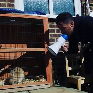 Do you understand? #rabbit #60minutemakeover @quest_red | Peter Andre