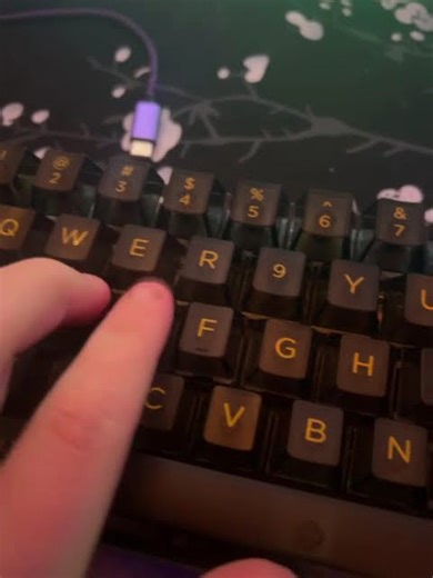 my brand new keyboard gmmk compact