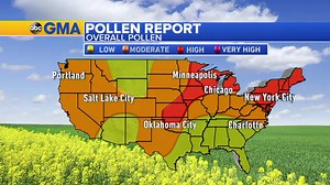 High Pollen Across the Plains and Northeast