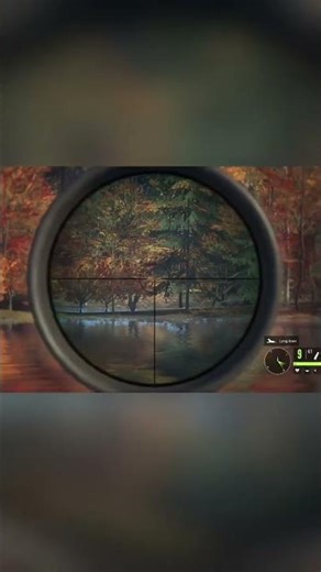 Best 22 LR shots? #Huntercallofthewild #hunting #outdoors