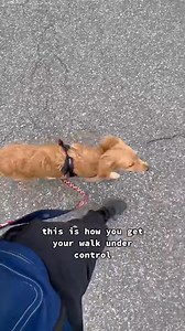 28K views · 308 reactions | 兩How To Create The Perfect Walk兩...