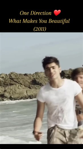 One Direction - What Makes You Beautiful (2011)