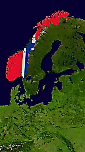 Sweet Little Bumblebee