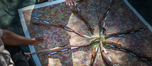 Connect with Indigenous Australian culture: must-do experiences | Australian Walking Holidays Blog