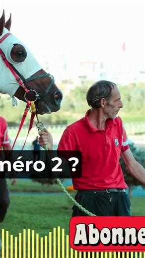 Le cheval compliqué au tempérament de diva : un pari risqué mais calculé