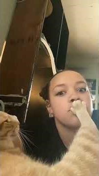 Cat being cats 🐈 Funny cats compilation.