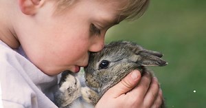 Safe, sustainable ingredients without animal testing | Unilever