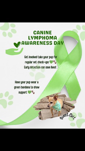 National Canine Lymphoma Awareness Day 💚🐾 A gentle reminder to pay attention to the small signs, schedule regular check-ups, and give our pups all the love they deserve. Awareness saves lives. To honor this day, our pup is wearing a green bandana, the color that represents support for dogs fighting lymphoma. And yes — you can personalize yours with their name or a special message 💚✨ Let’s spread love, hope, and awareness together. Hug your furry best friend a little tighter today. 🐶💛 #Canin