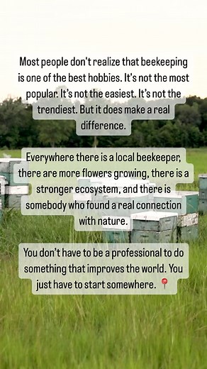 Interested in becoming an American beekeeper? Learn how to get started by sending us an email: beekeeping@localhivehoney.com. Our beekeeping expert, Mario, is here to answer your questions. 🐝 #localhivehoney #localhive #beekeeping #beekeeper #beekeeperslife #nationalhoneymonth | Local Hive Honey