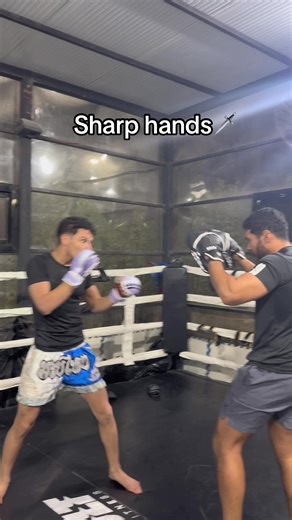 Fight Ready: Mastering MMA Techniques