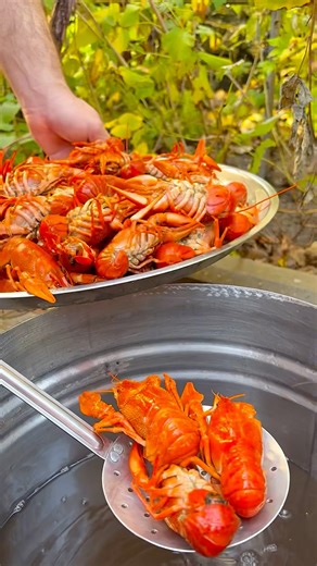 Crayfish are tastier in autumn. How to cook crayfish #recipes #crayfish #food