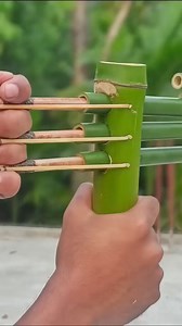 Bách phát bách trúng | Bao Công