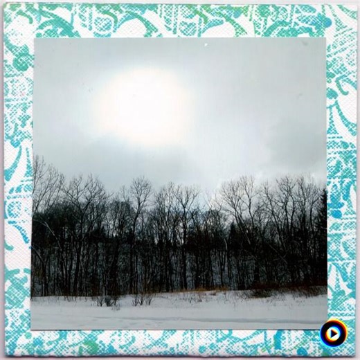 Languid Himalayan Cat: Music for Cats by Cat Nap