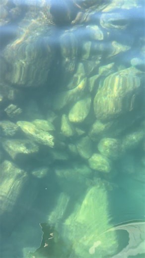 Bahía de Los Ángeles #BDLA 🌵🇲🇽 | BAJA LOVER