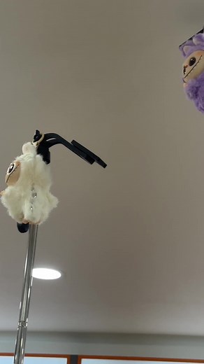 Affordable Phone Repair Service in Ipswich