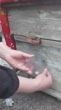 14 февраля 2026 г.