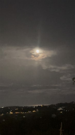 Enrique Prieto on Instagram: "The common coquí, widely known as the coquí (Eleutherodactylus coqui), is a species of frog native to Puerto Rico belonging to the family Eleutherodactylidae. The species is named for the loud call the males make at night, which serves two purposes; the “co” serves to repel other males and establish territory while the “quí” serves to attract females.[2] The auditory systems of males and females respond preferentially to different notes of the male call, displaying 