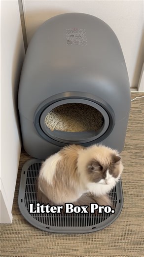 Check out the Automatic Litter Box Pro by @HHO Official in the link below or in my bio. Use code LM466 for 10% off. https://link.hholove.com/s/nPBMG9× #HHOLOVE #catlitterbox #cattips #catdad #catlover